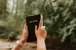 Hands holding a well-worn Bible with sunlight filtering through trees.