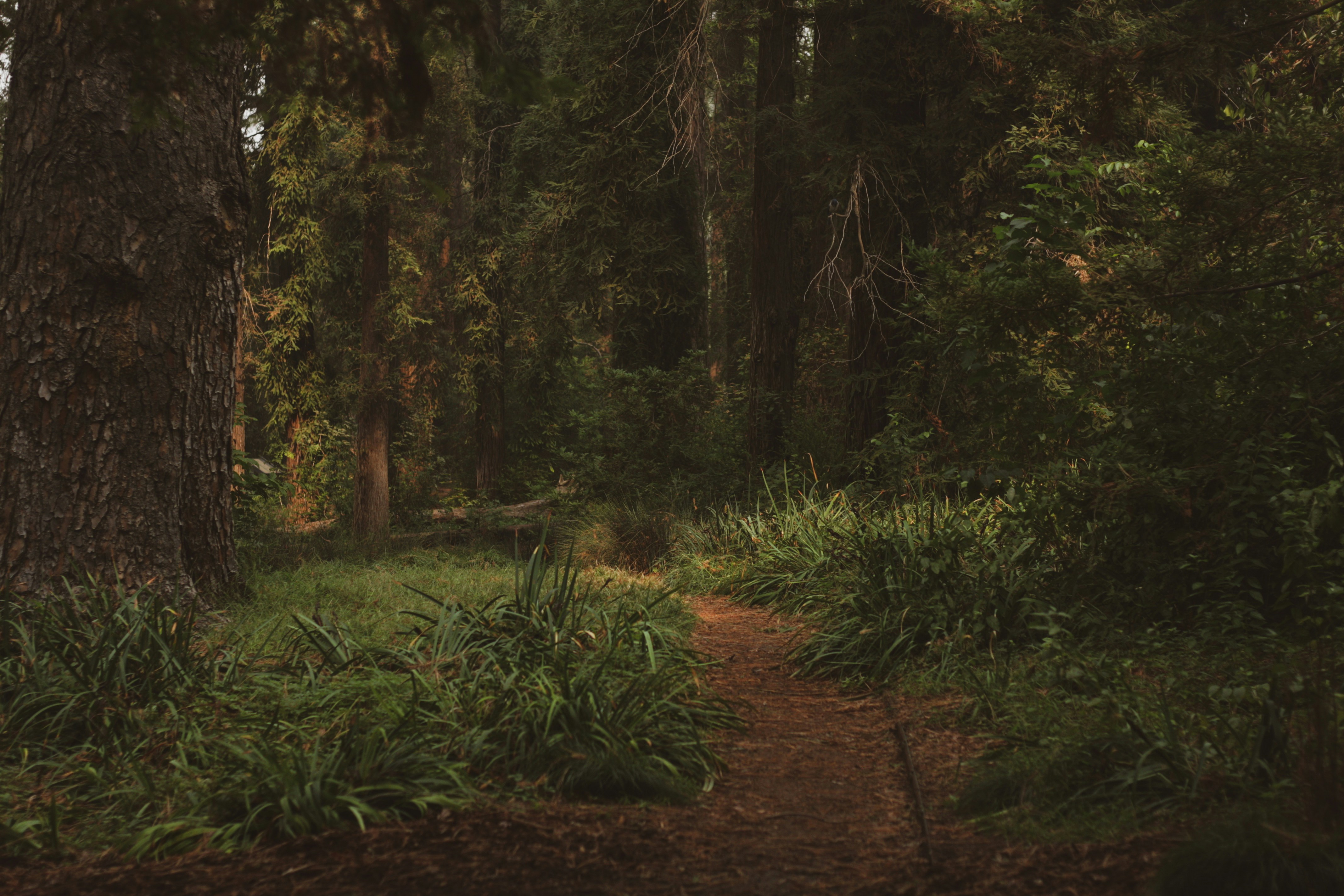 Photo by parsoakhorsand