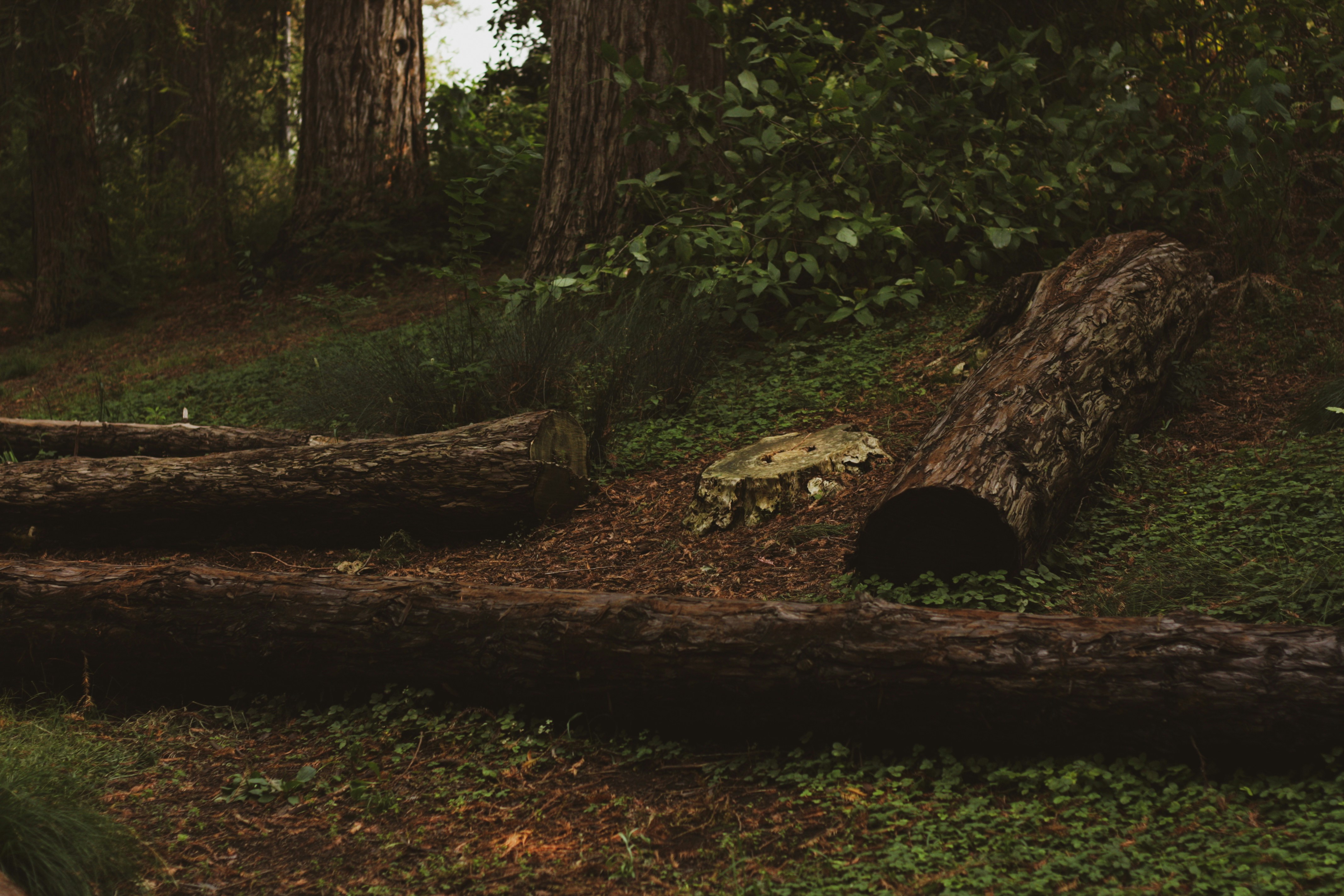 Photo by parsoakhorsand