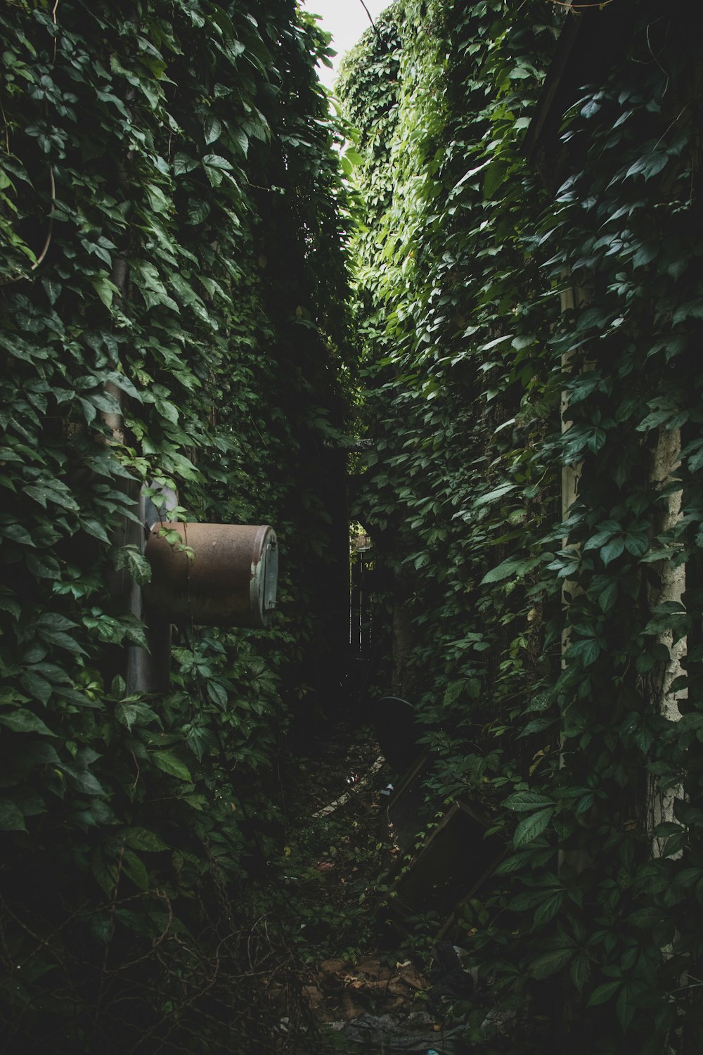 lâmpada pendurada de madeira marrom no meio de plantas verdes