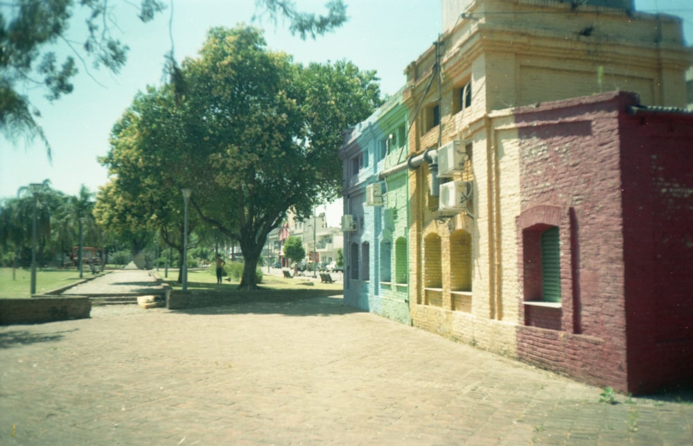 green trees in front of white concrete building