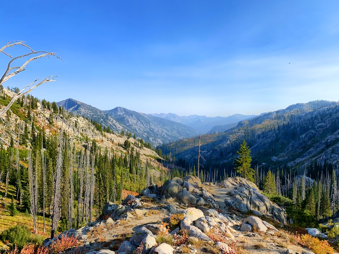 Travel Tips and Stories of Payette National Forest in United States