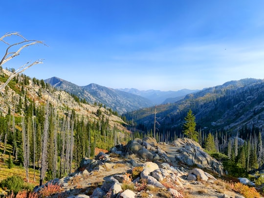 Payette National Forest things to do in Idaho 55