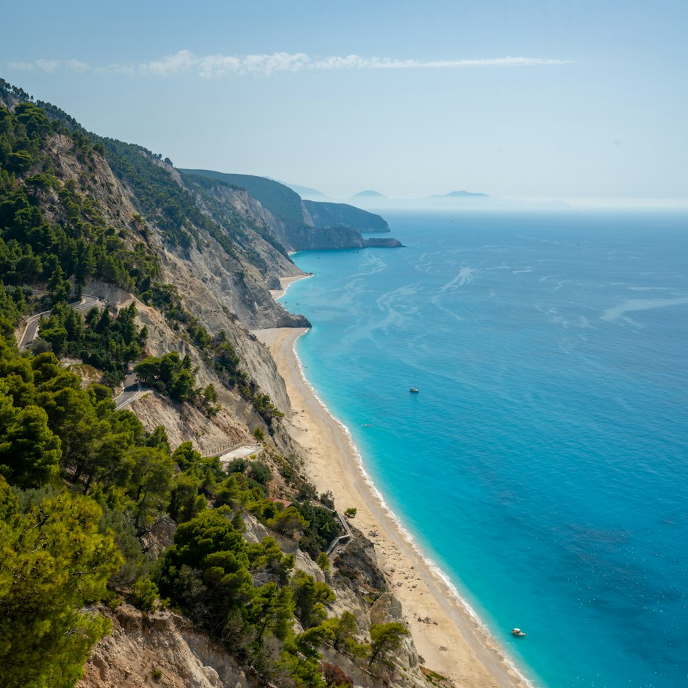 green trees on mountain near sea during daytime