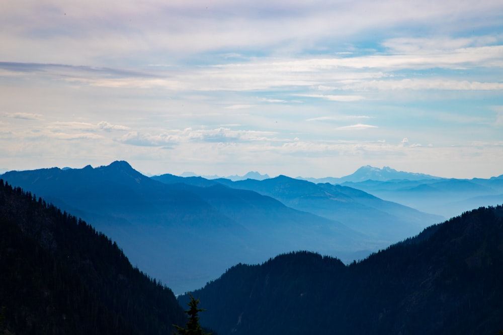 Grüne Bäume auf dem Berg tagsüber unter weißen Wolken