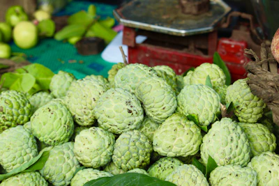 Custard Apple Sitafal Farming India Commercial