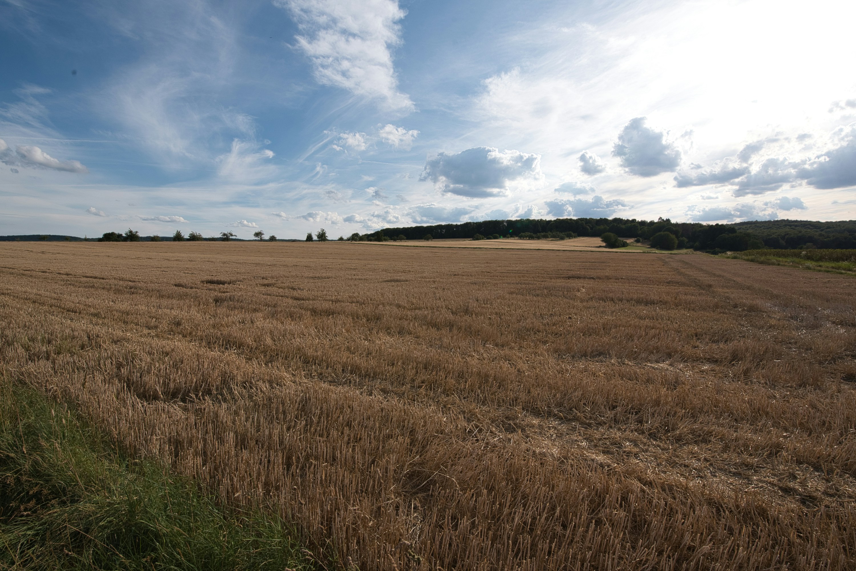 Photo by designbytholen