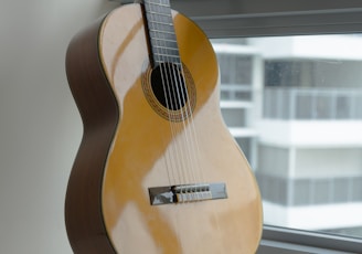 brown acoustic guitar on glass window