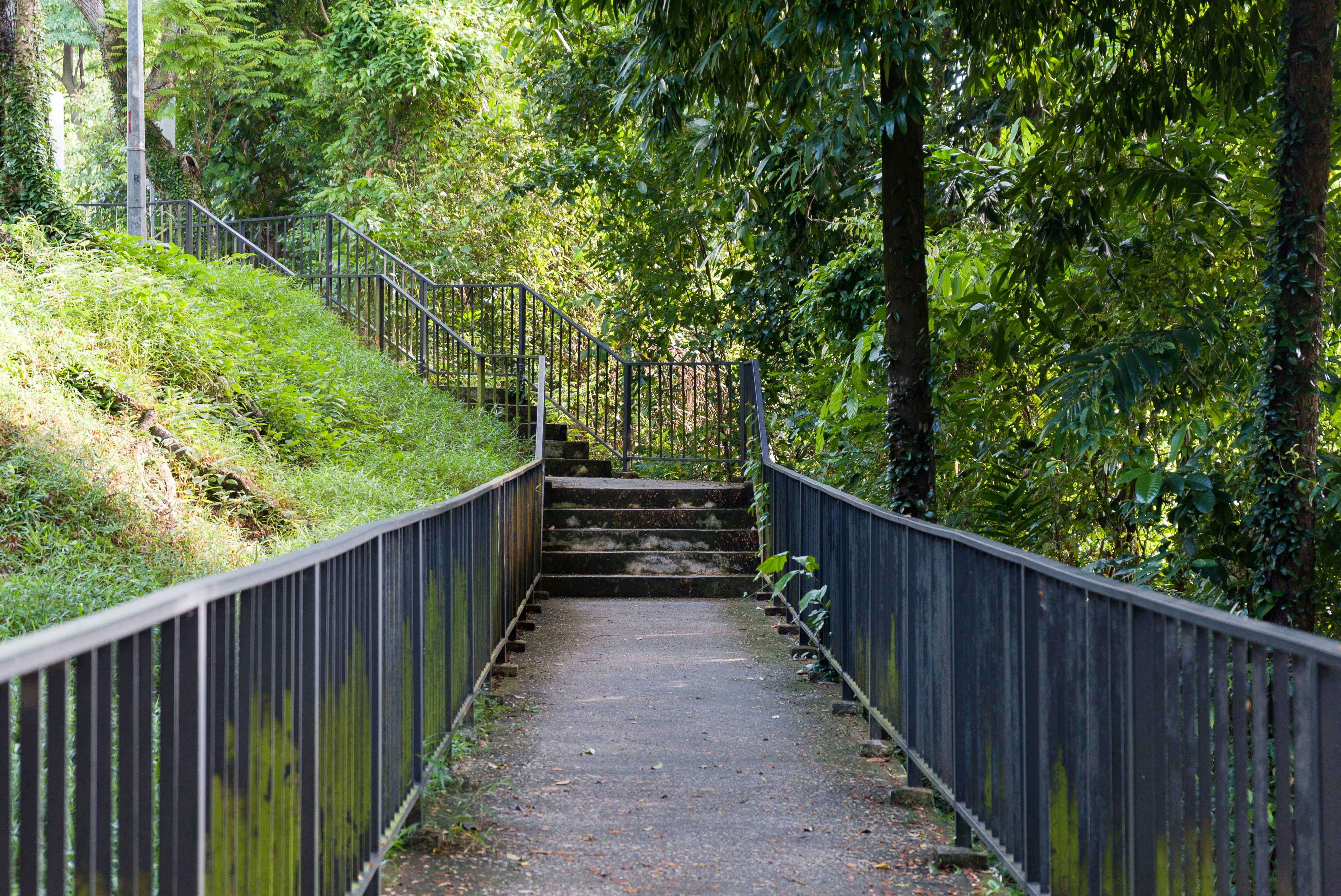 Photo by azadazahari