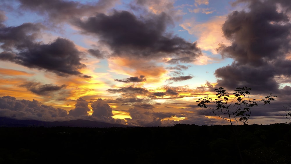 silhueta de árvores sob o céu nublado durante o pôr do sol