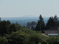 A serene landscape view of a residential area with green spaces.