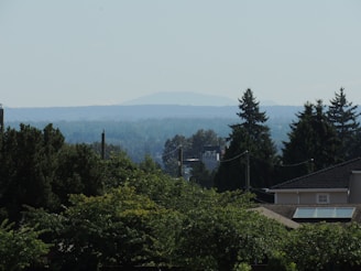 A serene landscape view of a residential area with green spaces.