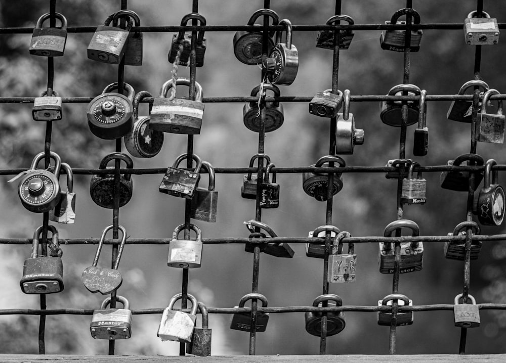 padlock on black metal fence