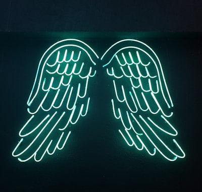 Close-up of fiery golden wings spreading against a starry night sky.