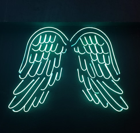 A shadowy, intricate faerie wing sketched in deep purples and blacks, glowing faintly.