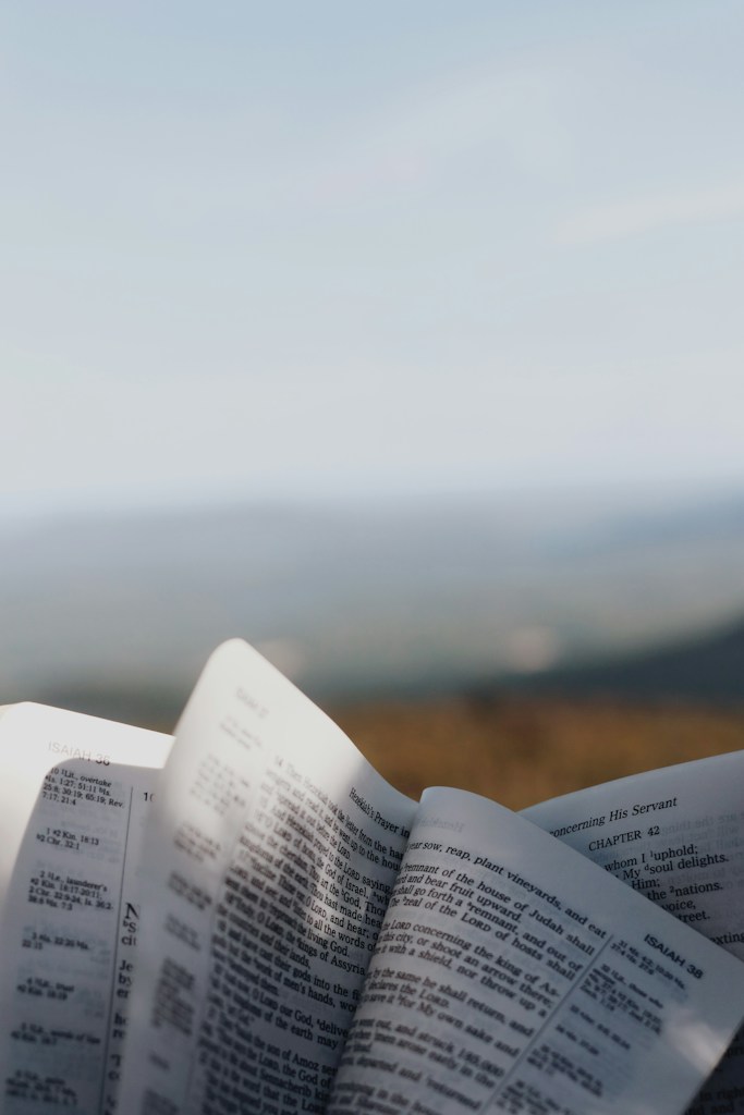 A Clearer Mind