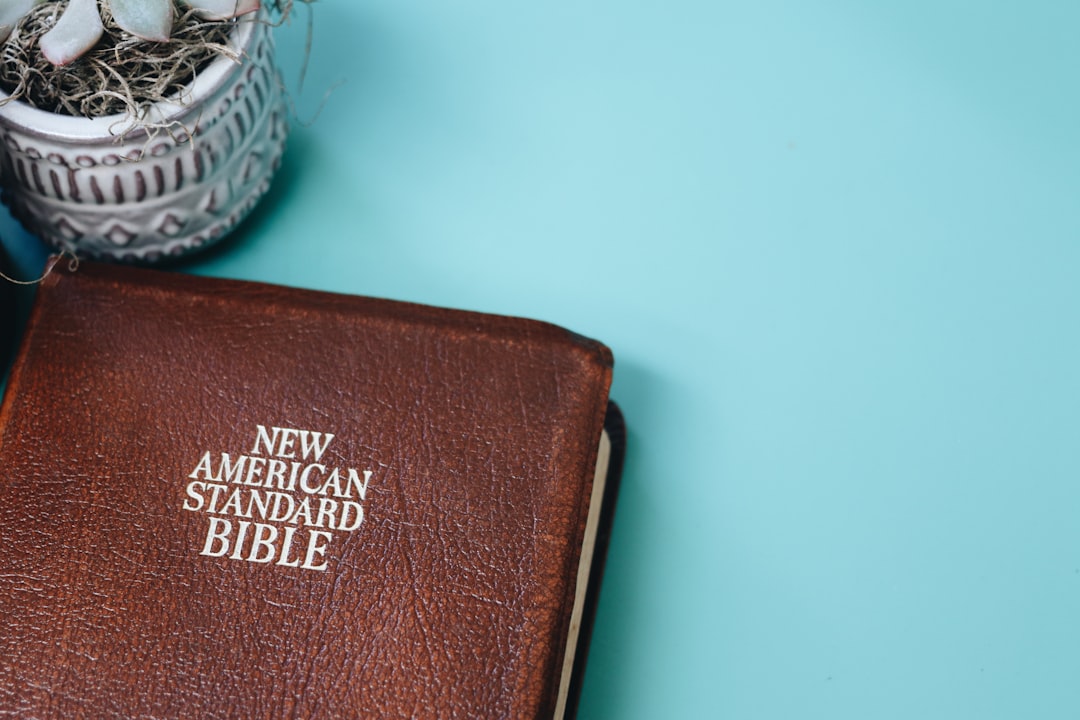 brown leather bifold wallet on white table