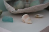 Several seashells and a piece of sea glass are arranged on a surface. The focus is on a large conical shell with a cream and peach gradient, with a smaller, blurry shell in the background. An aqua blue piece of sea glass sits beside the main shell.