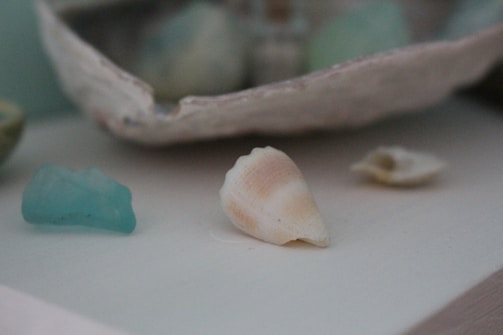 Several seashells and a piece of sea glass are arranged on a surface. The focus is on a large conical shell with a cream and peach gradient, with a smaller, blurry shell in the background. An aqua blue piece of sea glass sits beside the main shell.