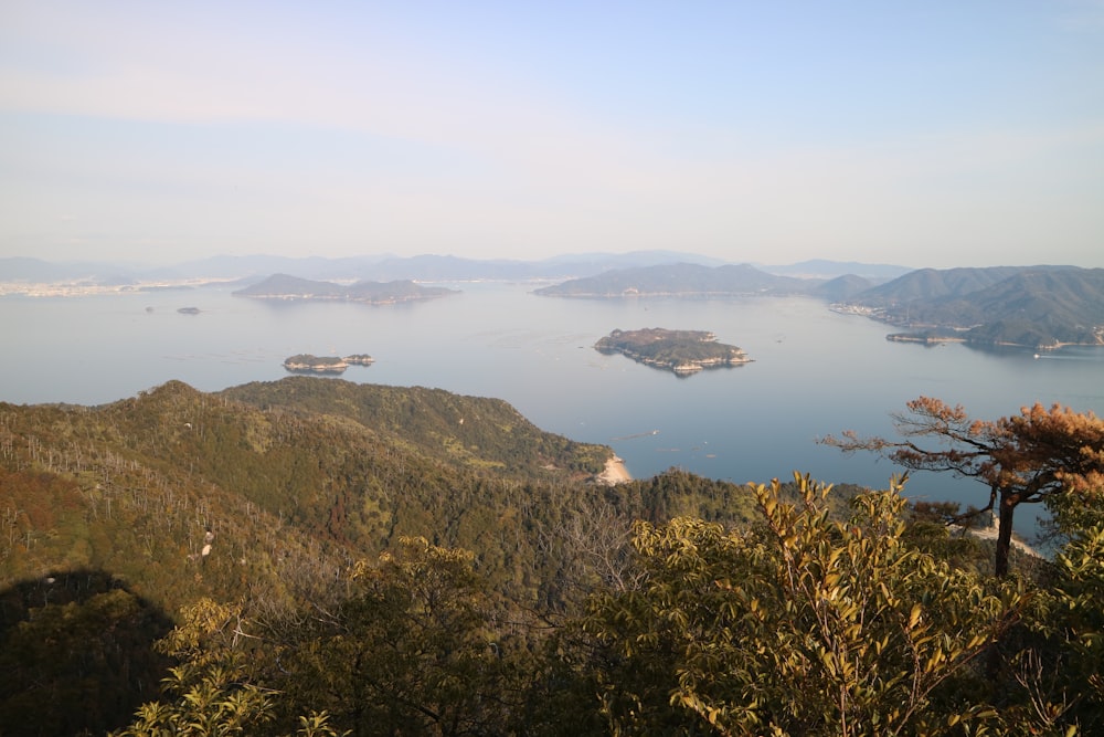 낮 동안 수역 옆에있는 녹색 산