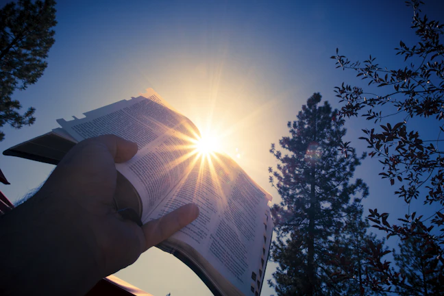 Smiling woman holding the 'Restaure Sua Vida' PDF manual, sunlight softly glowing behind her.