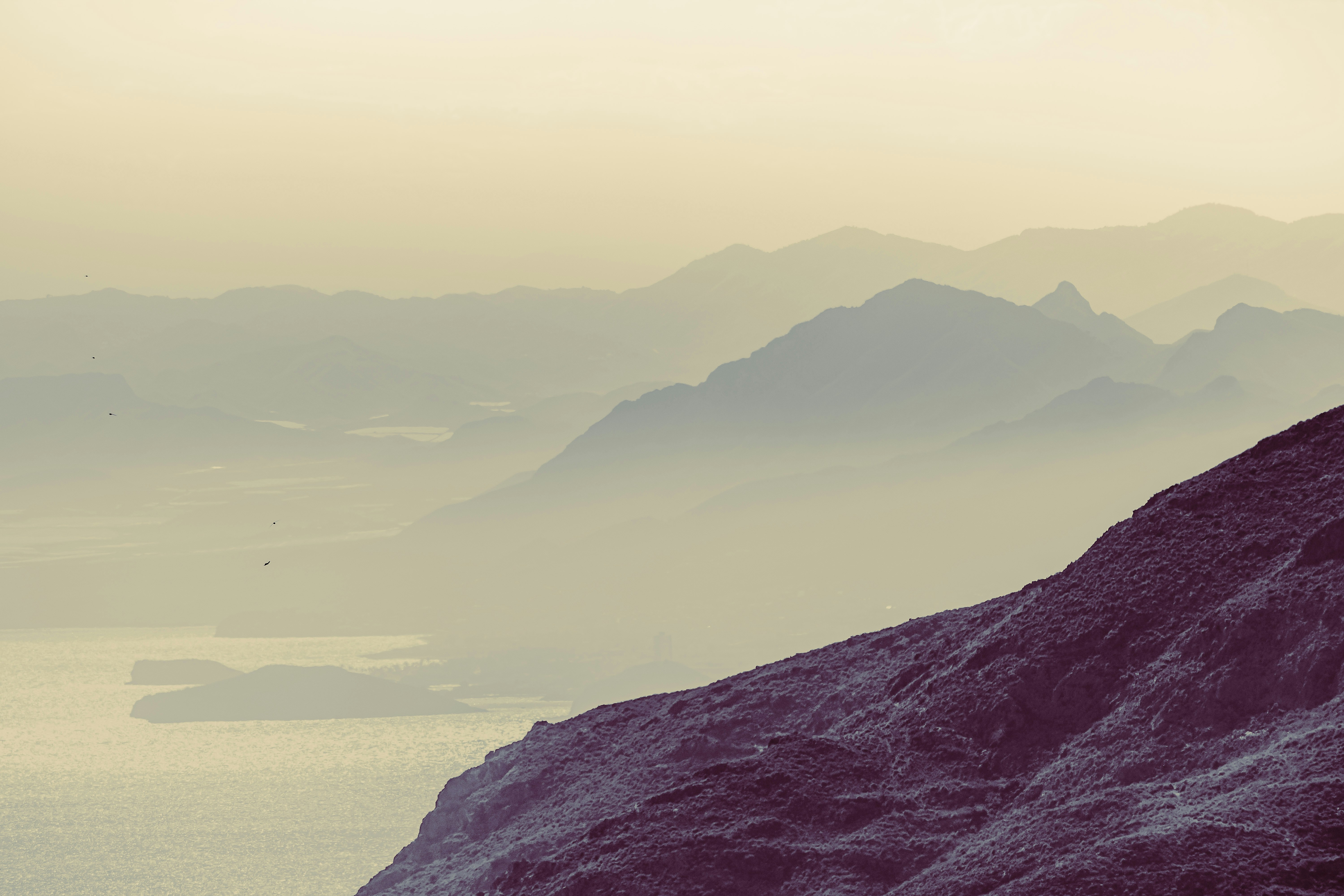 Photo by framesforyourheart