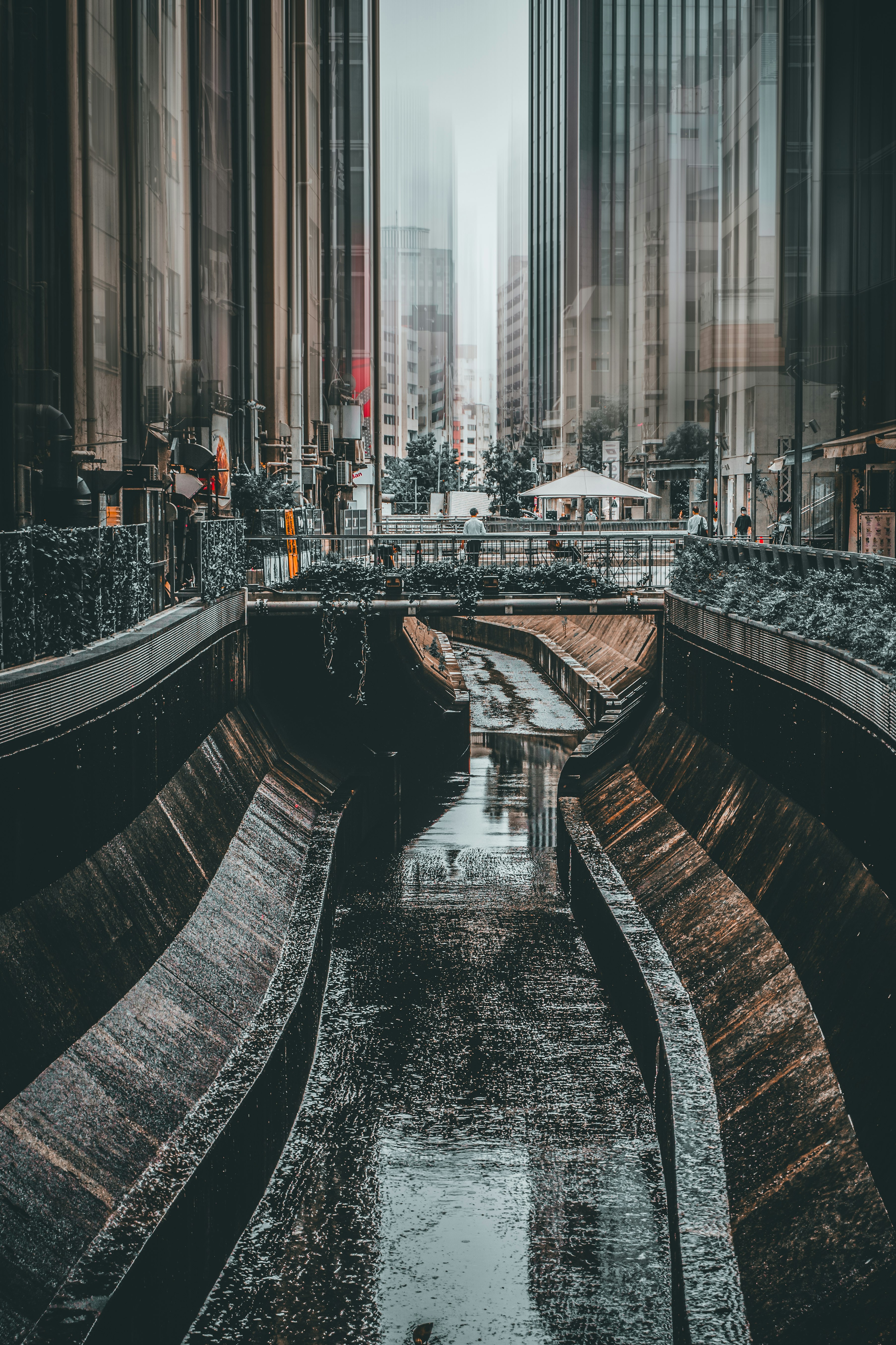 grayscale photo of a river in the middle of a city