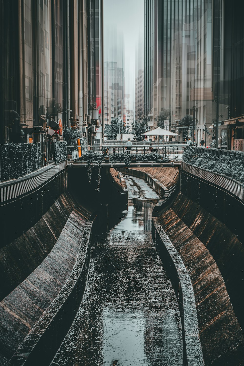 Foto en escala de grises de un río en medio de una ciudad