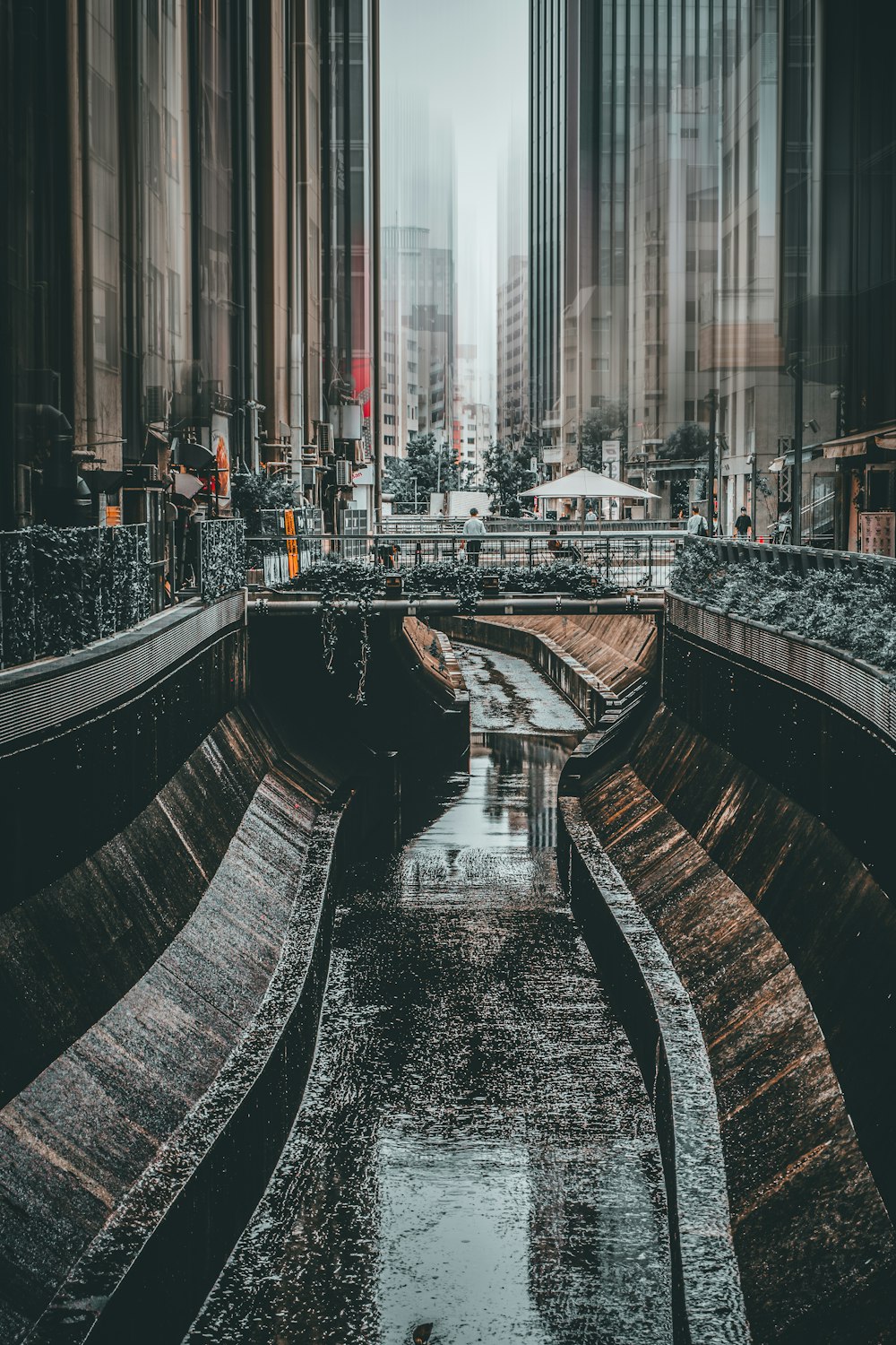 grayscale photo of a river in the middle of a city