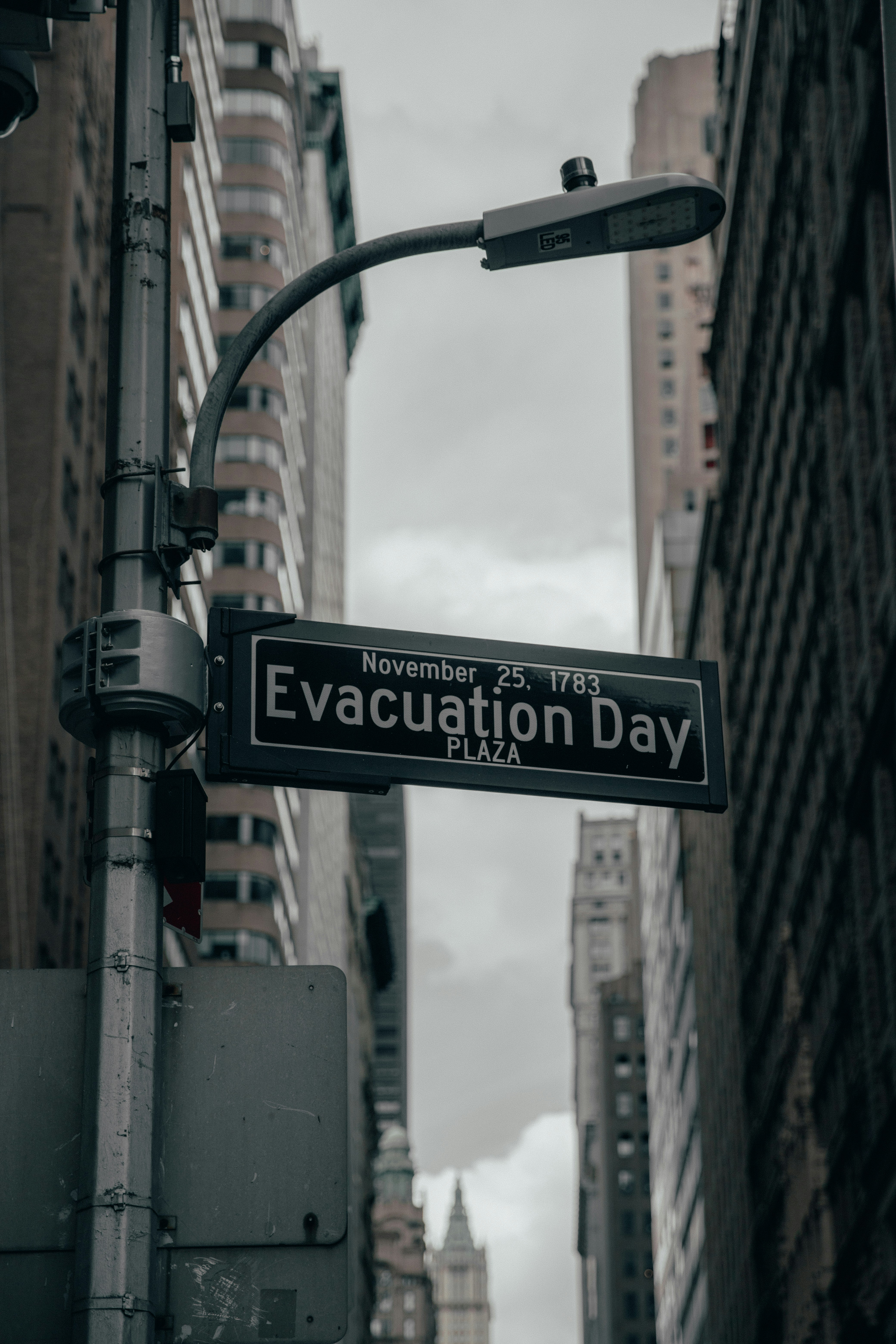 Disaster Management Presentation template preview