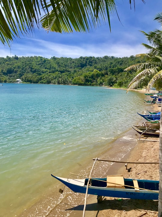 blue and white boat on body of water during daytime in Puerto Galera Philippines