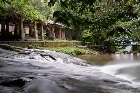 water falls near green trees during daytime in Gabai River Malaysia