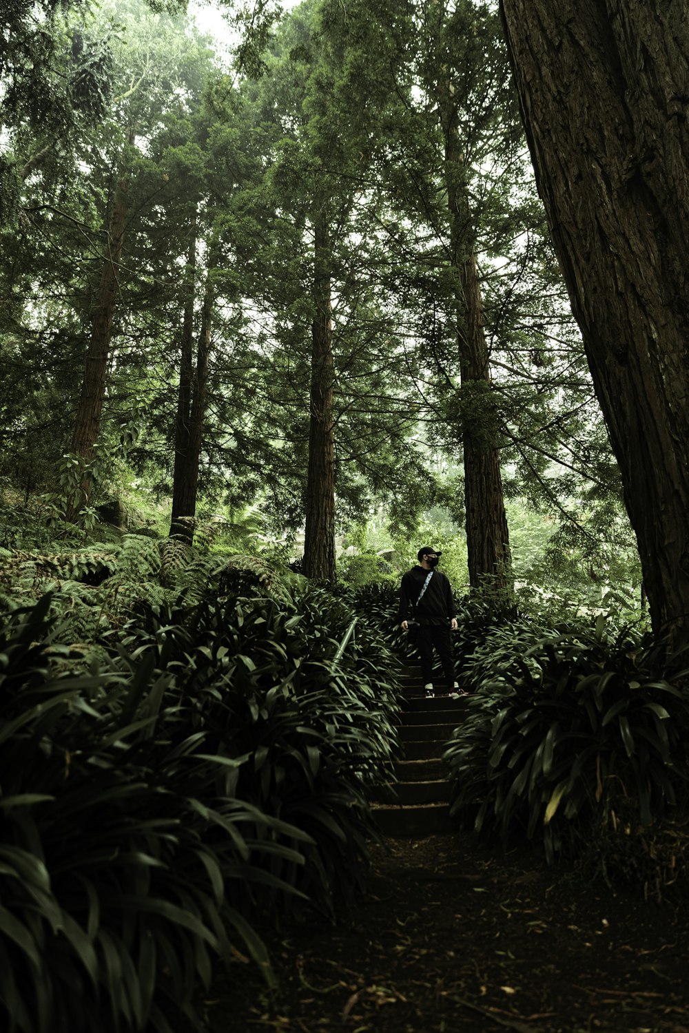 man in black jacket standing on brown wooden bridge surrounded by green plants and trees during
