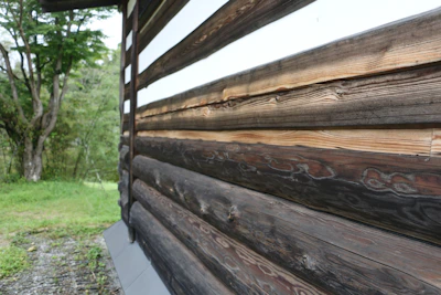 Close-up of a high-quality prefab cabin with clean lines and durable materials.