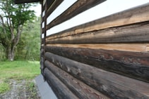 The image features a close-up view of a wooden cabin wall, constructed of horizontal logs with visible grains and knots. In the background, there is a grassy area and several lush, green trees, suggesting a natural, forested setting.