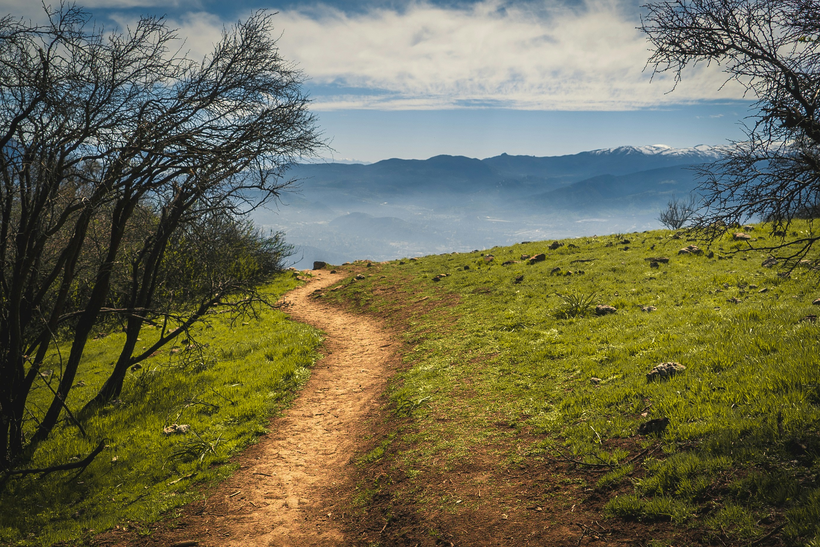 green grass field near body of water during daytime, 