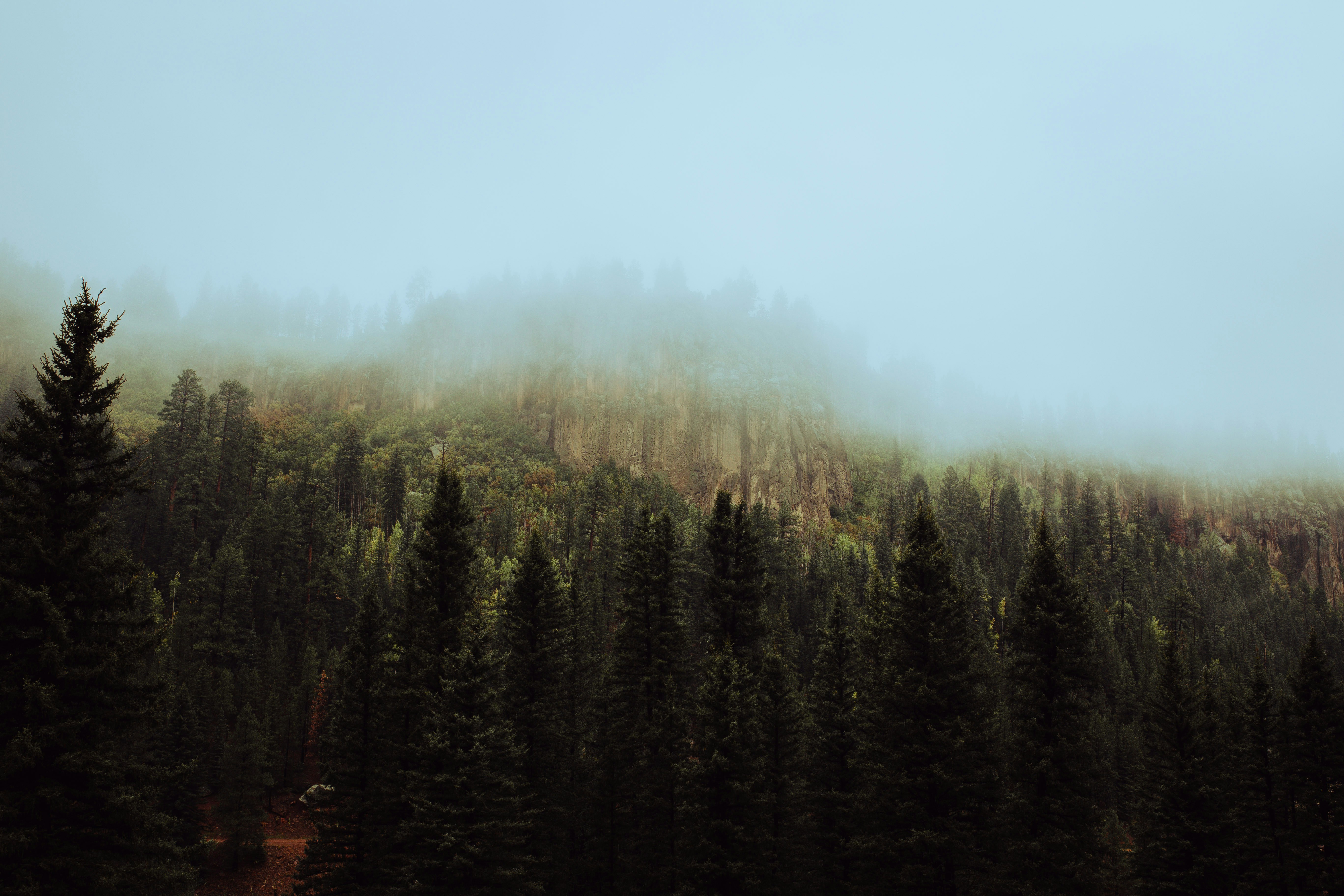 Climate Change and the Future of Fog Harvesting (image credits: unsplash)