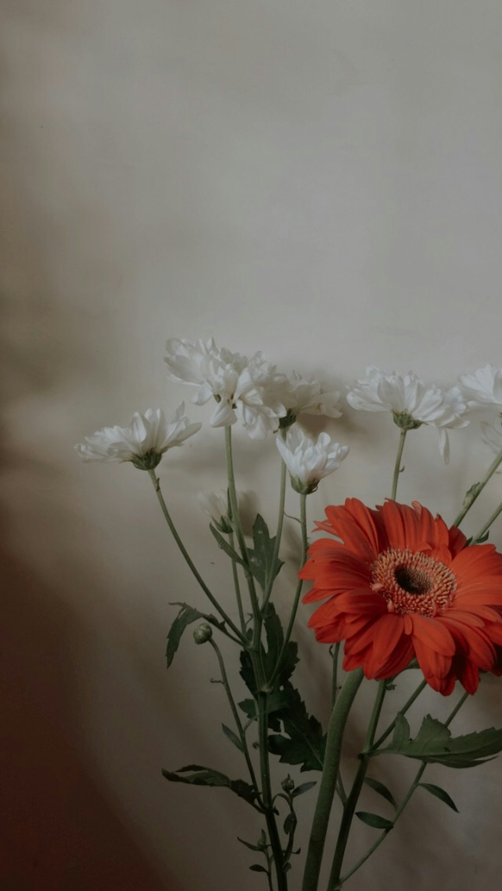 white and red flowers in tilt shift lens