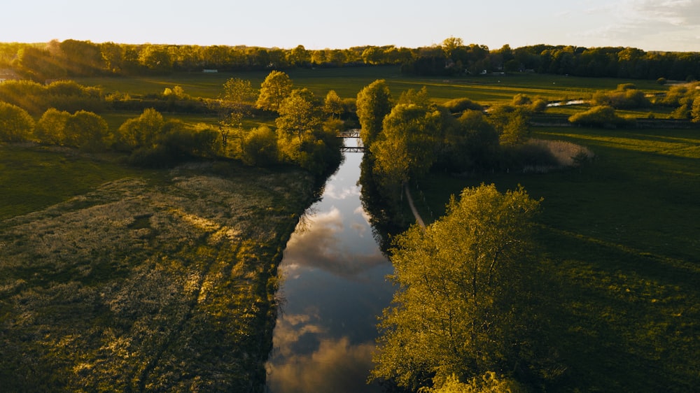 green trees and river during daytime