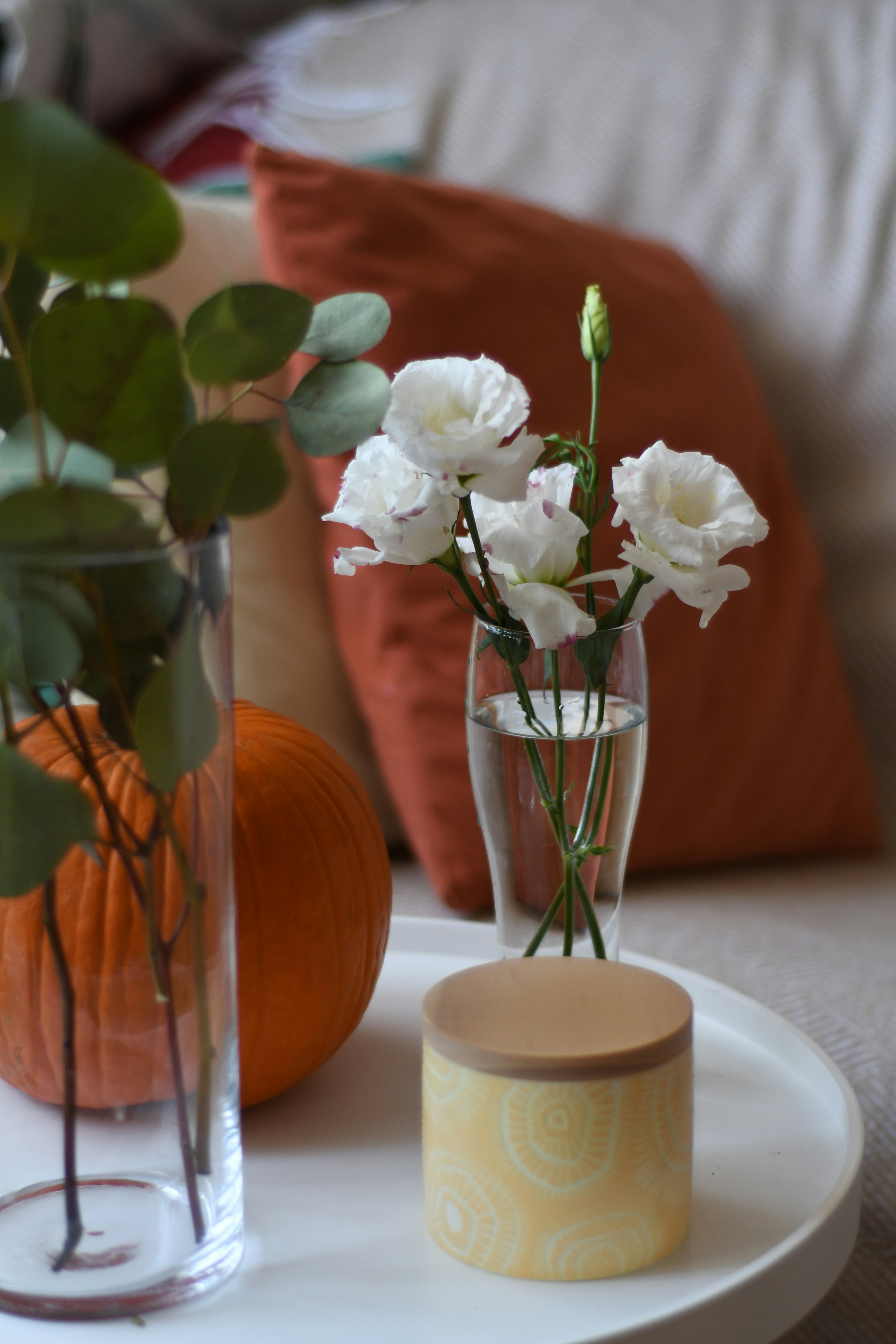 Photo by raspopovamarisha