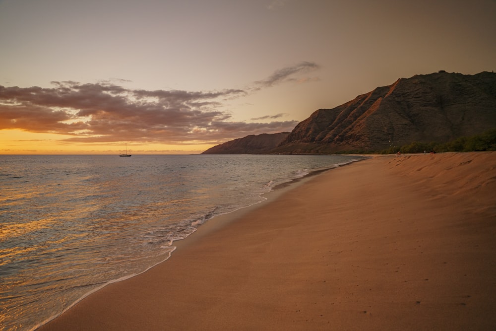 brown sand beach during sunset
