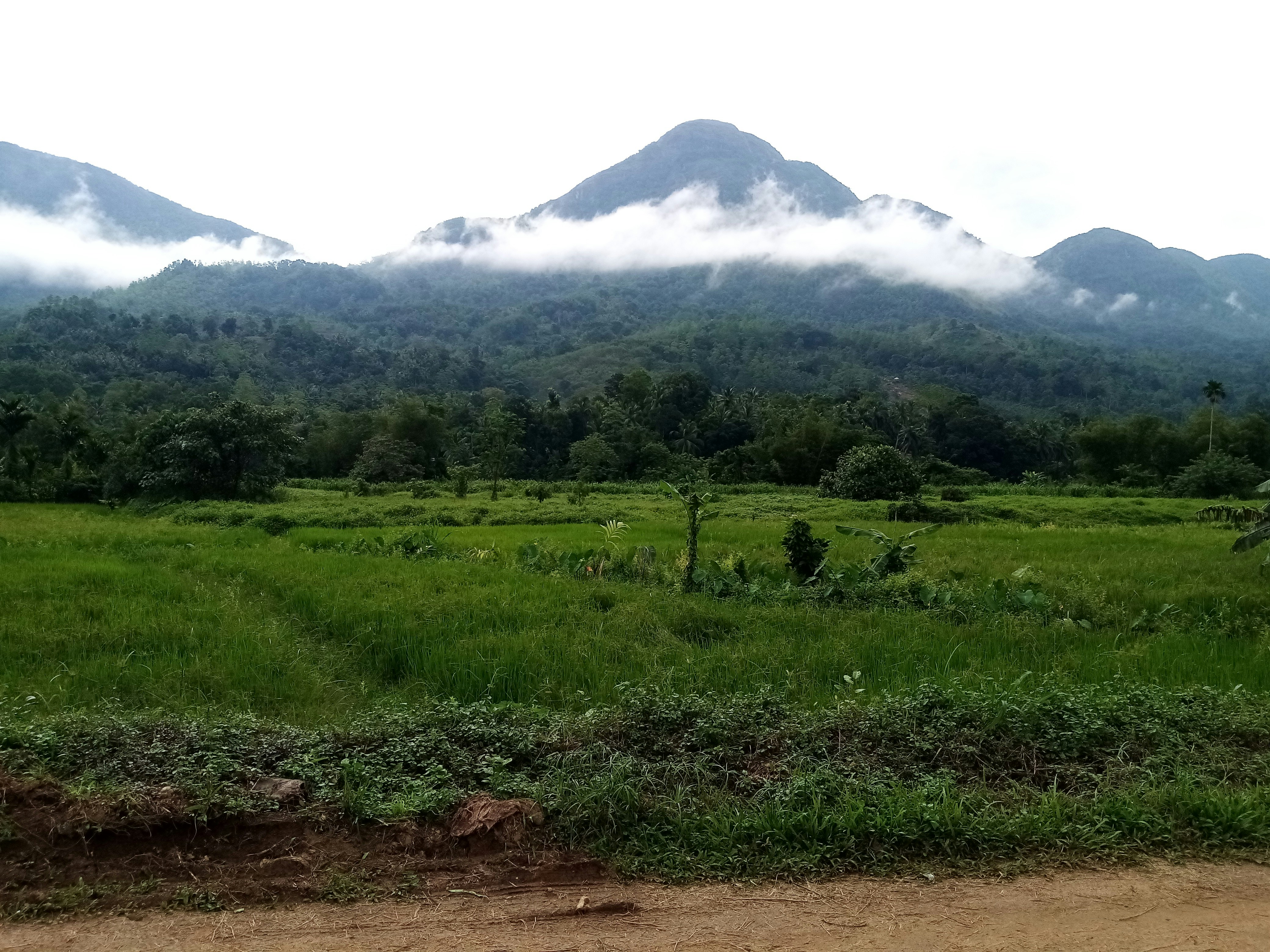 Photo by denuwan_m_kalansooriya