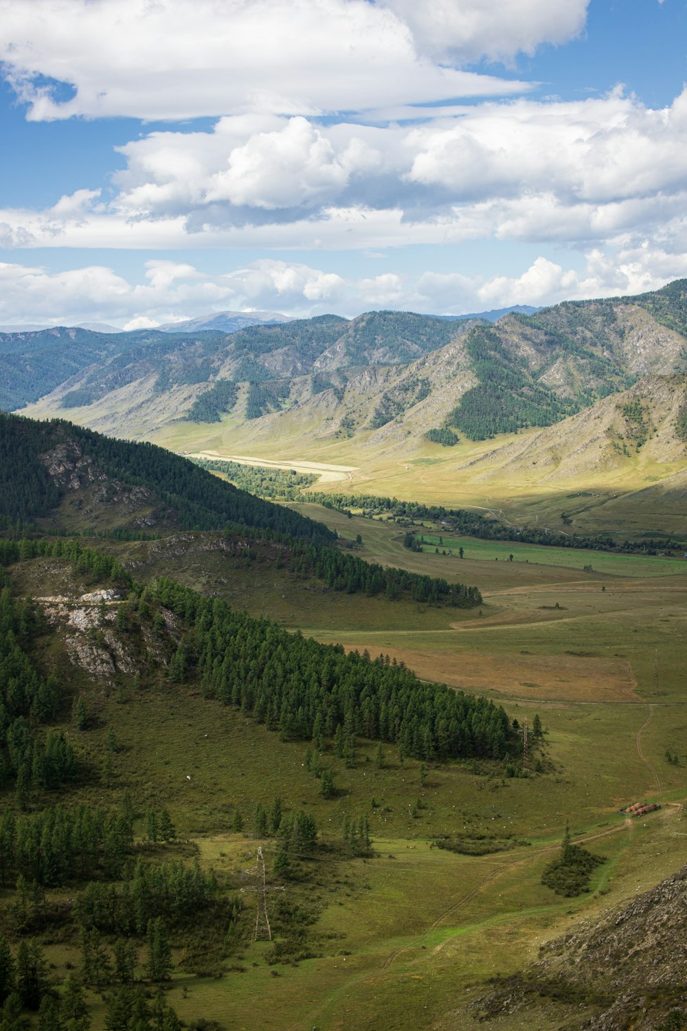 green trees on green grass field near mountain under white clouds during daytime