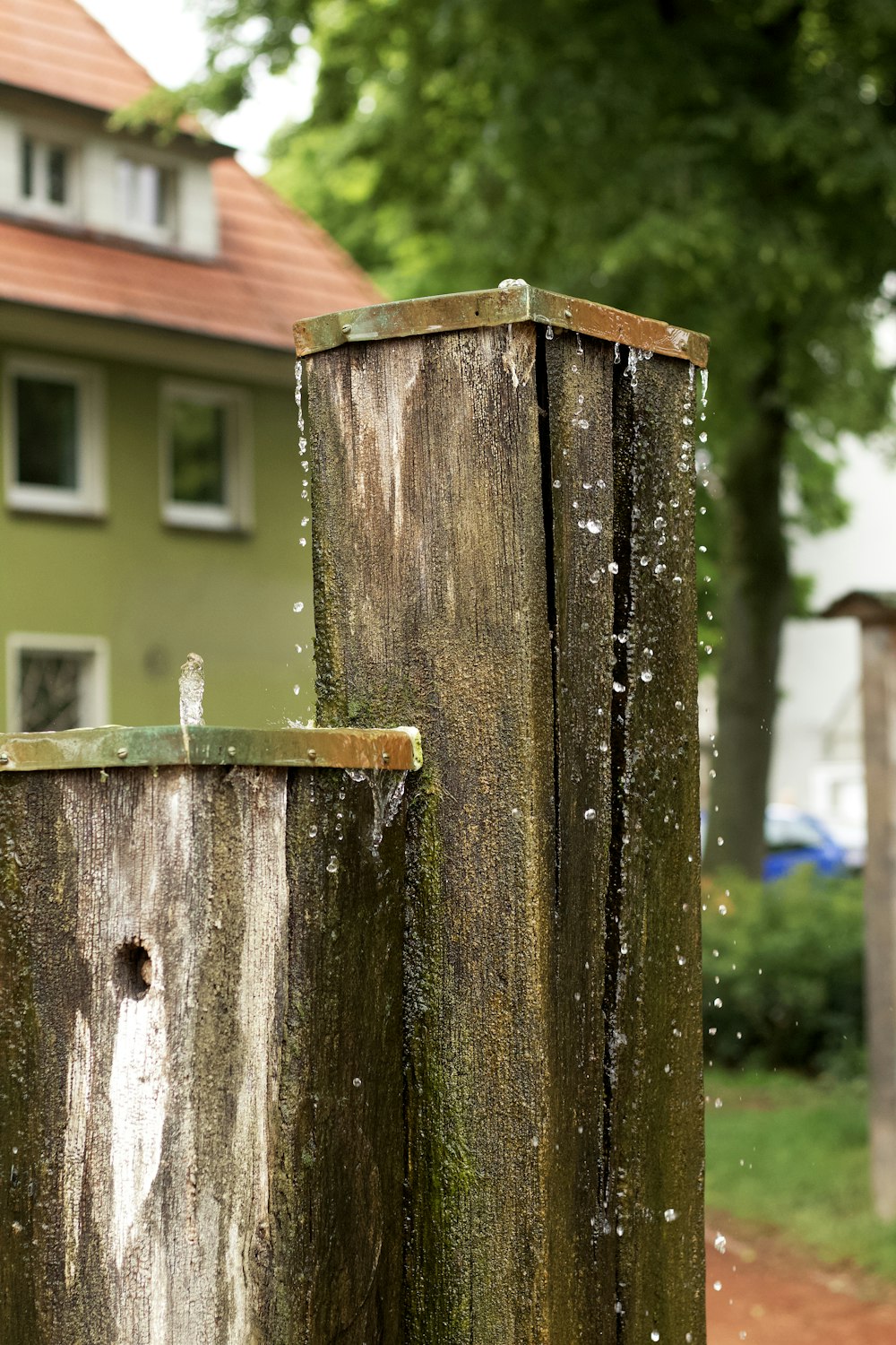 brown wooden fence with hole