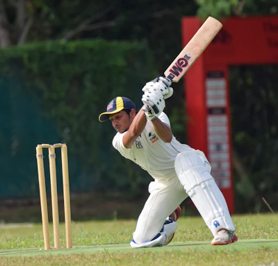 Cricket