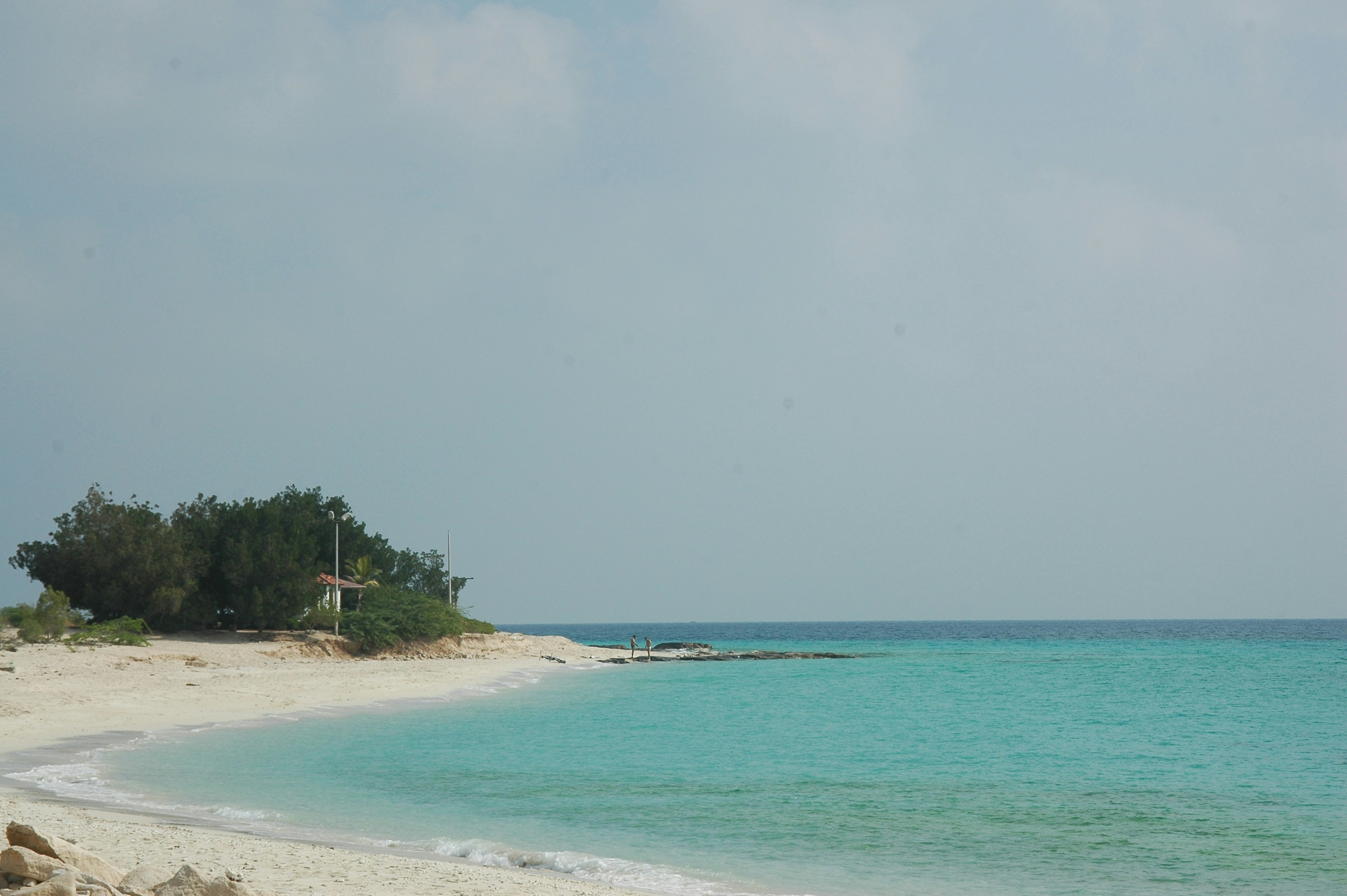 Photo by mostafa1339