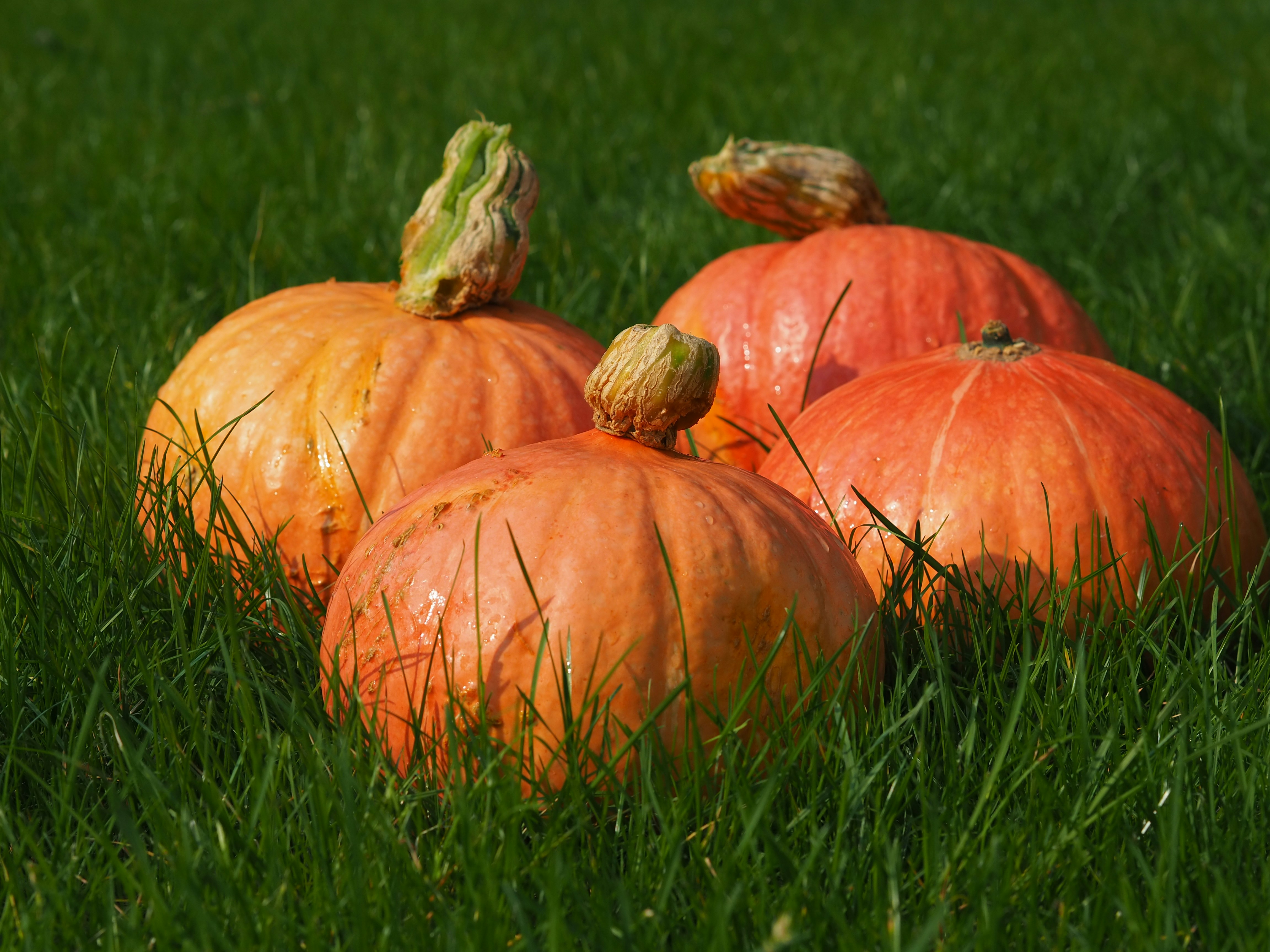 Photo by silverthread