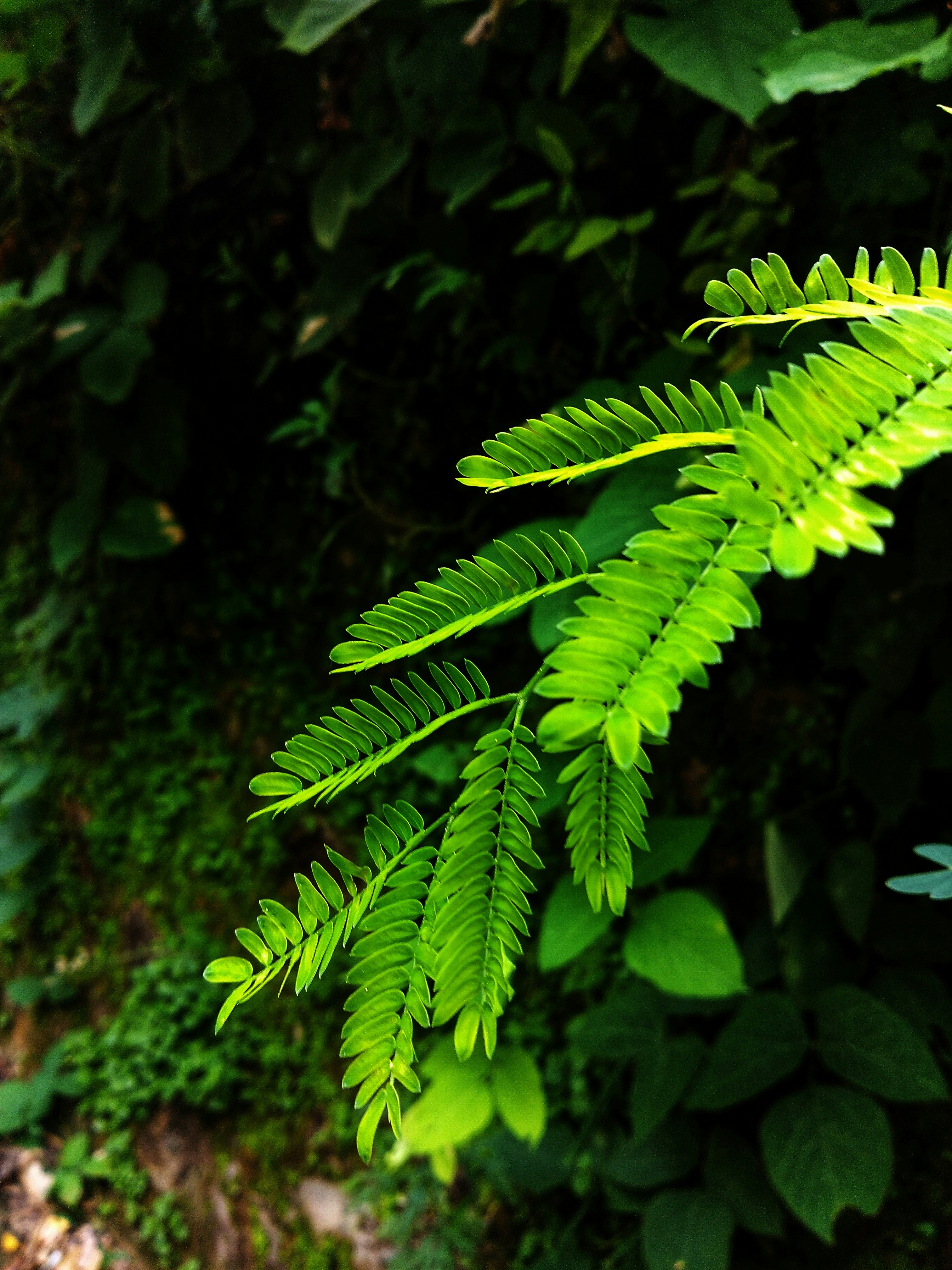 Photo by ayushsharma001