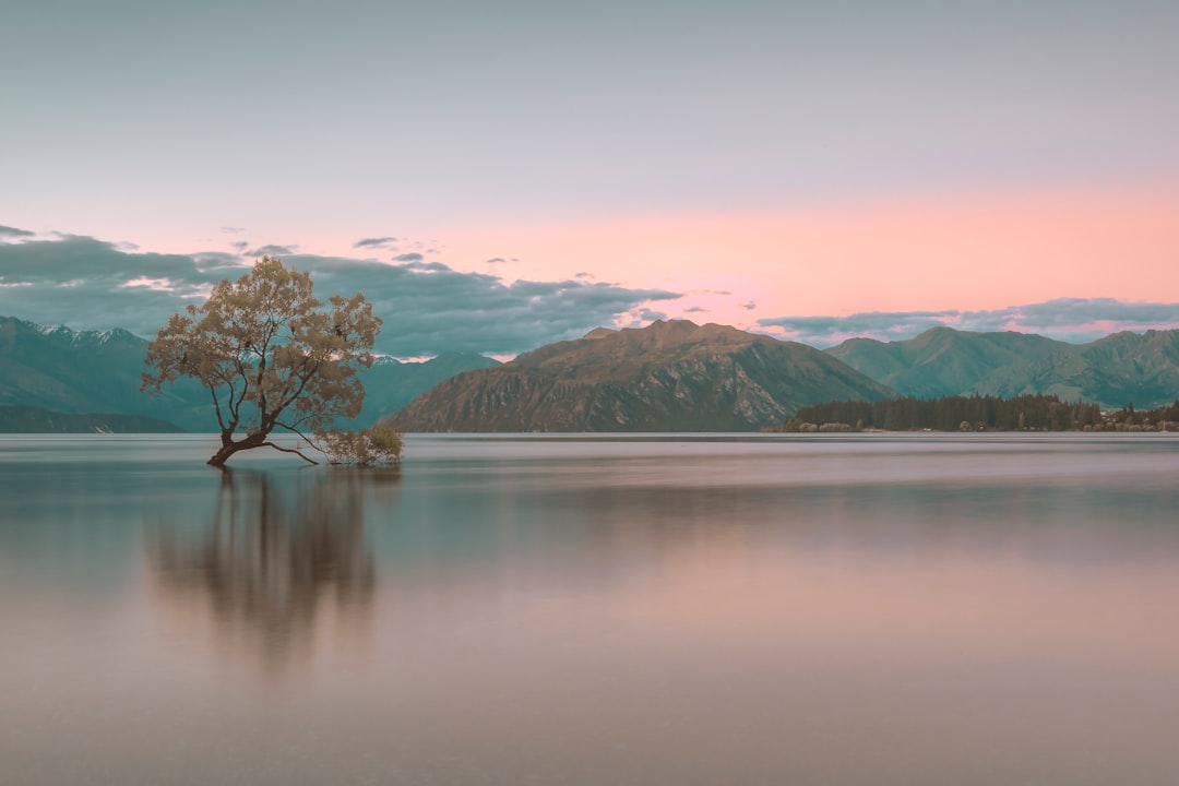 Travel Tips and Stories of Wanaka in New Zealand