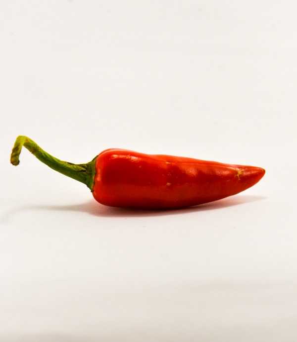 Cayenne Travel Guide: Ideal Weather & Best Months to Visit